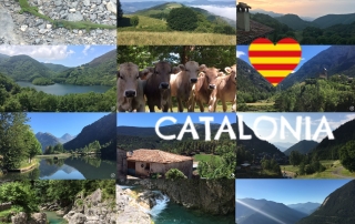 collage catalonia