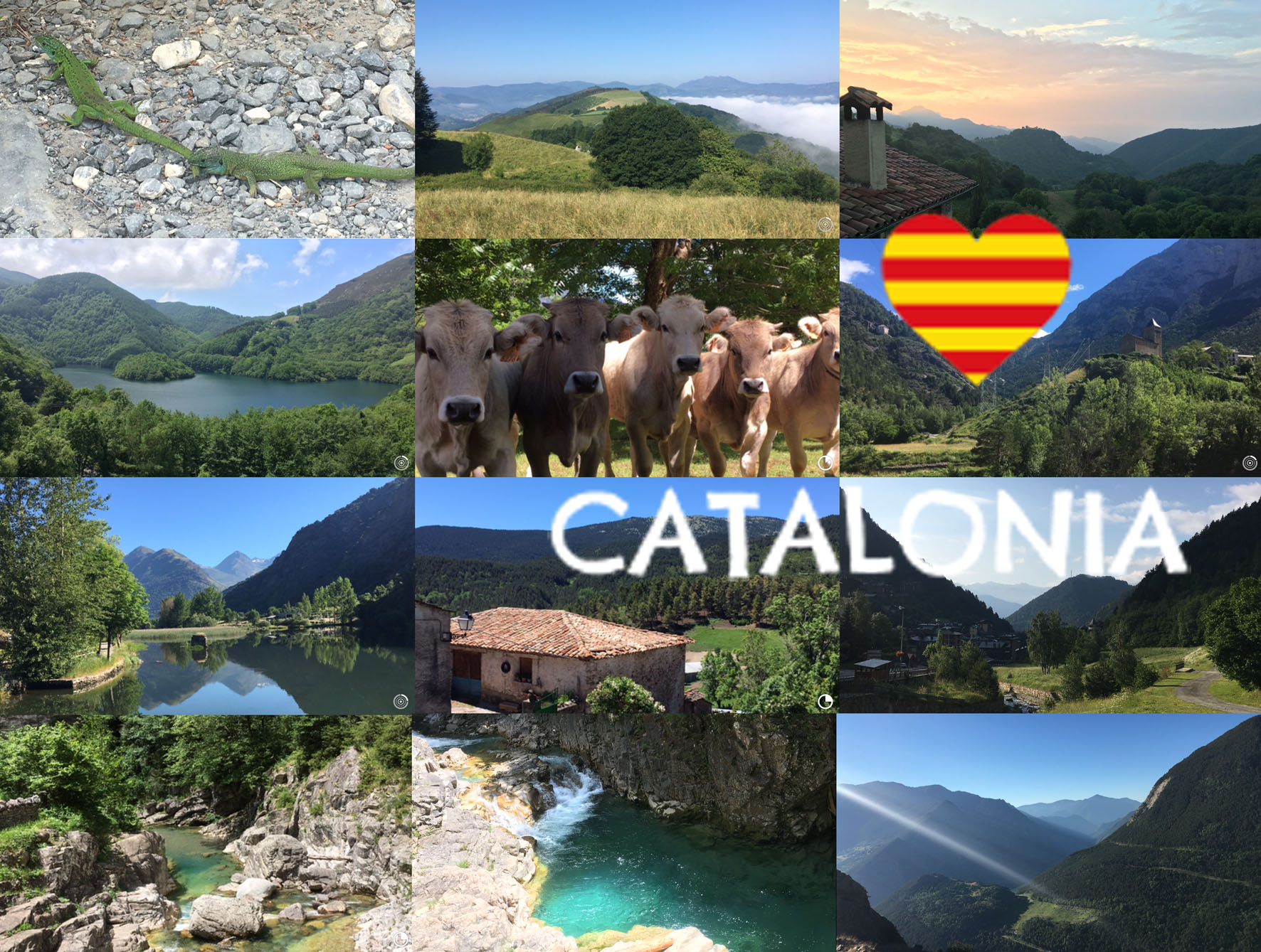 collage catalonia